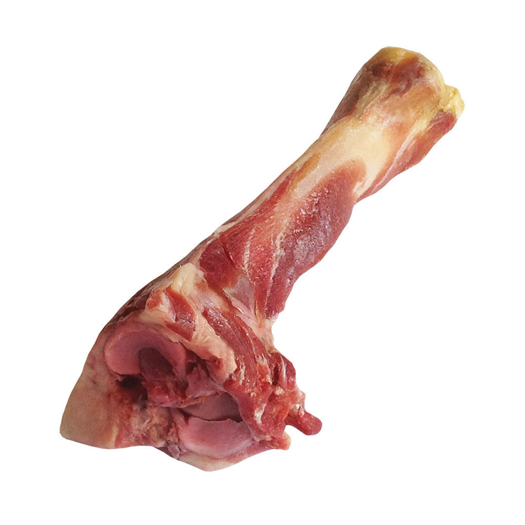 Dogit, Charcuterie, Italian Prosciutto Bone - 3 sizes