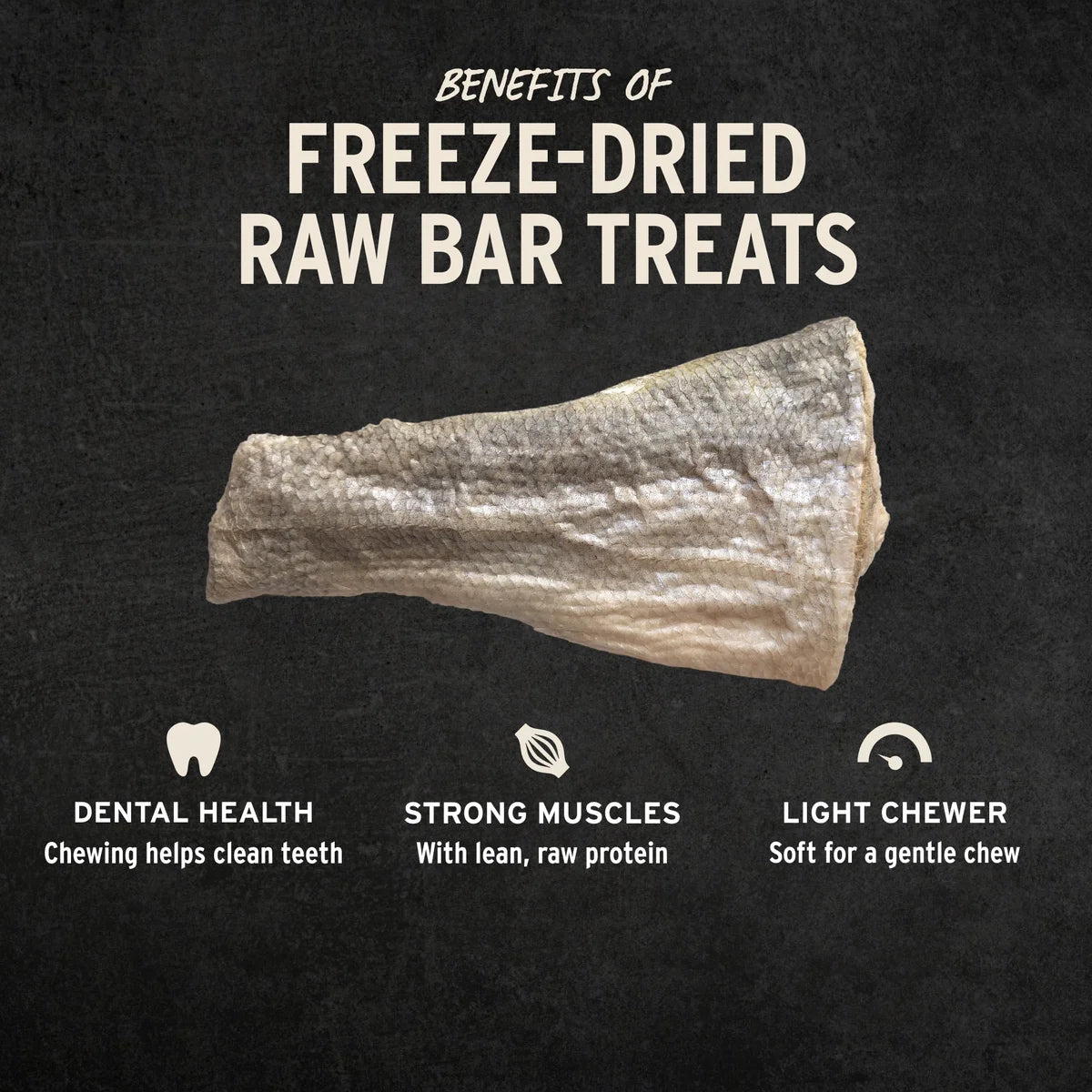 Vital Essentials® RAW BAR Freeze-Dried Raw Silver Carp Filet Dog Snacks