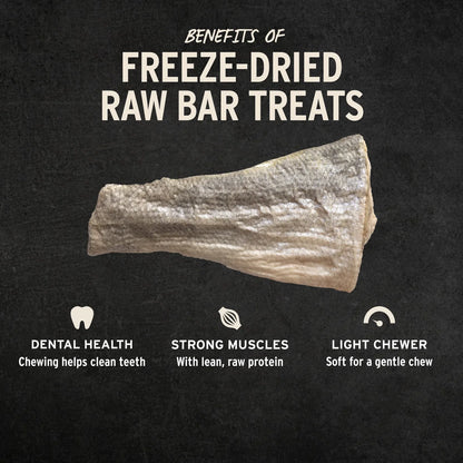 Vital Essentials® RAW BAR Freeze-Dried Raw Silver Carp Filet Dog Snacks