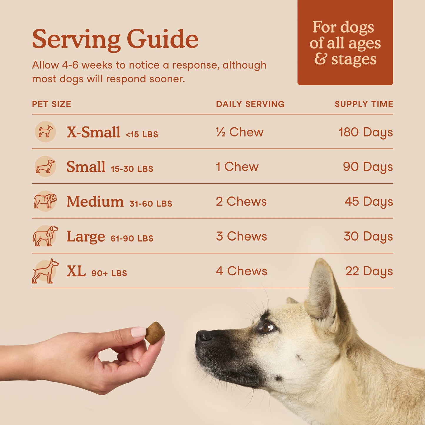 Fera Pets – Probiotics – Soft Chews for Dogs – 90ct