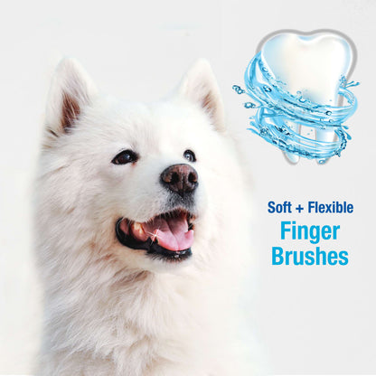 Nylabone® Advanced Oral Care Finger Brush (2 ct)