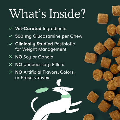 Fera Pets – Hip + Joint for Dogs, Soft Chews – 90 count