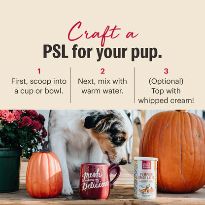 The Honest Kitchen® Make Your Own Pumpkin Spice Latte Natural Treat for Dogs 4oz