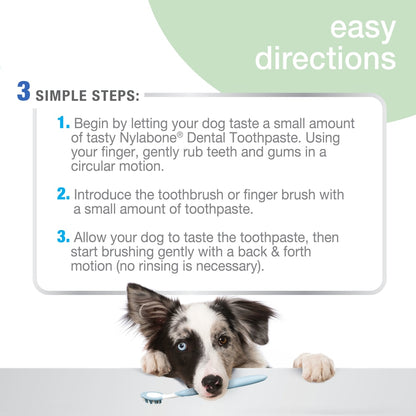 Nylabone® Advanced Oral Care Natural Toothpaste