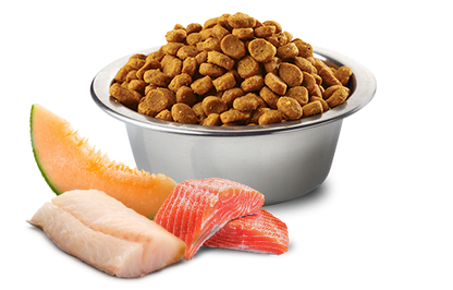 Farmina N&D Ocean Canine Salmon, Cod & Cantaloupe Med/Maxi