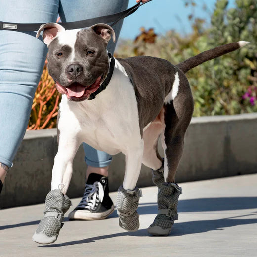 Canada Pooch® Chill Seeker Cooling Boots Grey
