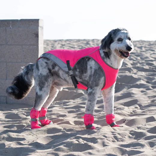 Canada Pooch® Chill Seeker Cooling Boots Pink