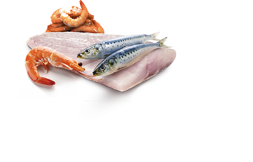 Farmina N&D Ocean Feline Rawcan Sea Bass, Sardine & Shrimp 3pk