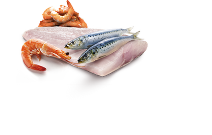 Farmina N&D Ocean Feline Rawcan Sea Bass, Sardine & Shrimp 3pk