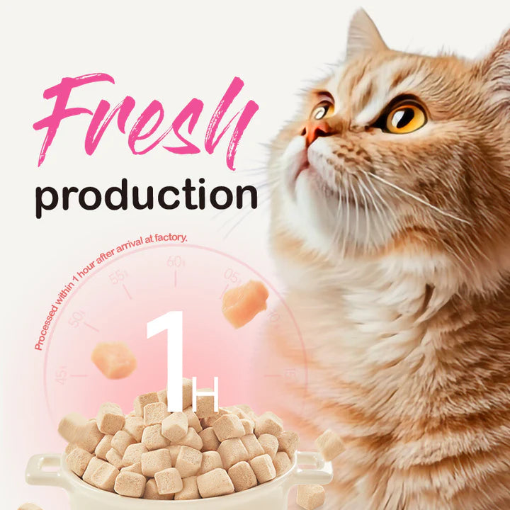 Ranova Premium Freeze-Dried Raw Chicken Cat Food 100G