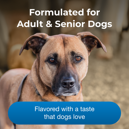 PetAg® Esbilac® Healthy Aging Nutritional Supplement for Adult & Senior Dogs 7 Years+ 14oz