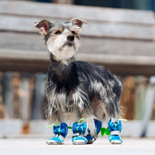 Canada Pooch® Chill Seeker Cooling Boots Blue