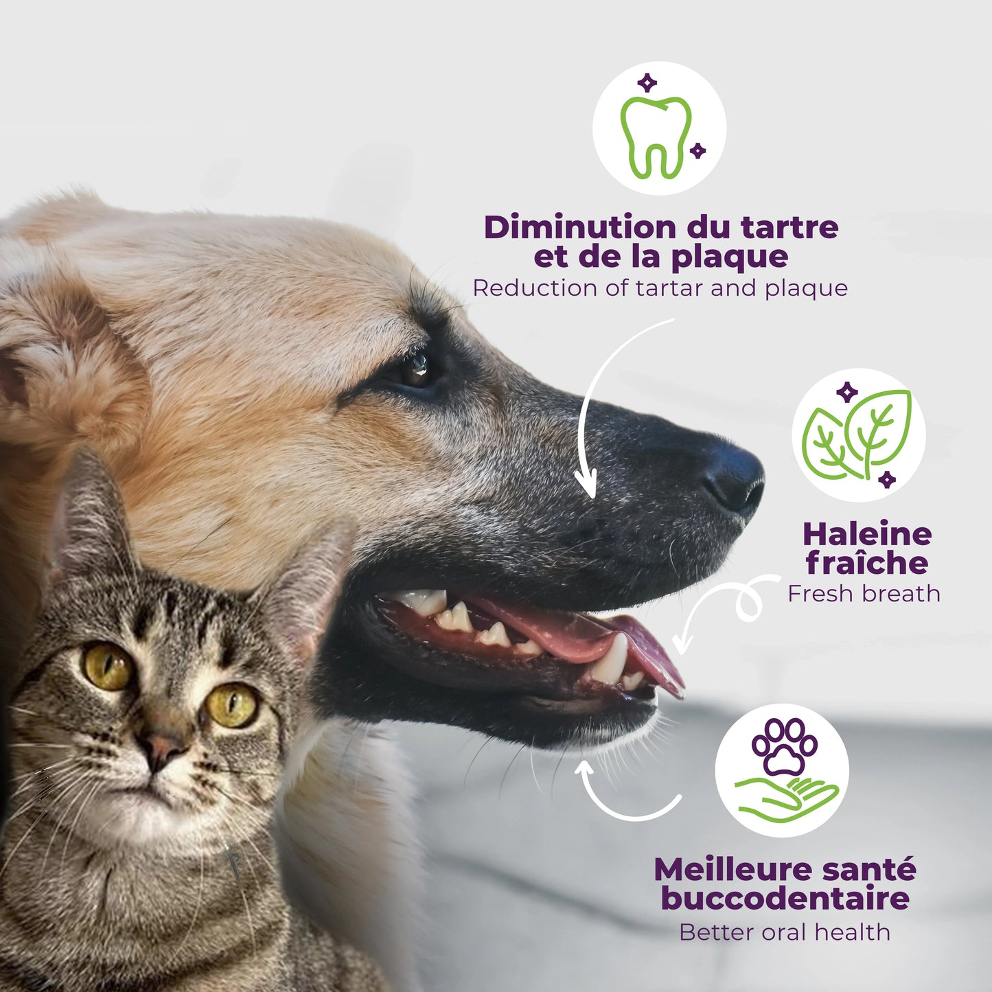 buco+ fresh breath and healthy teeth for cats and dogs 35G