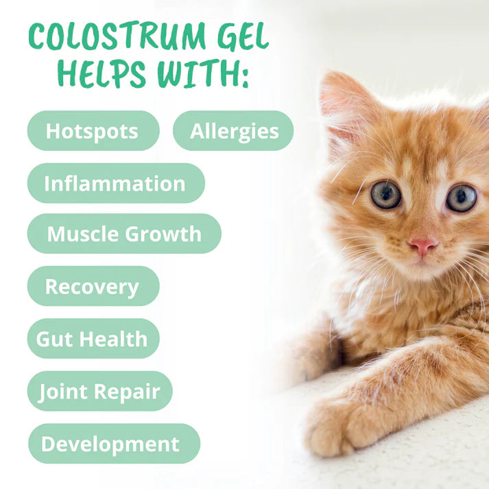 Colostrum Gel for Cats