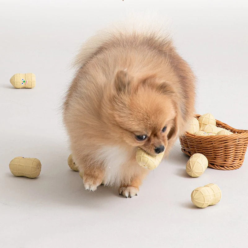 Bite Me Peanut Latex Toy (4 Pcs)