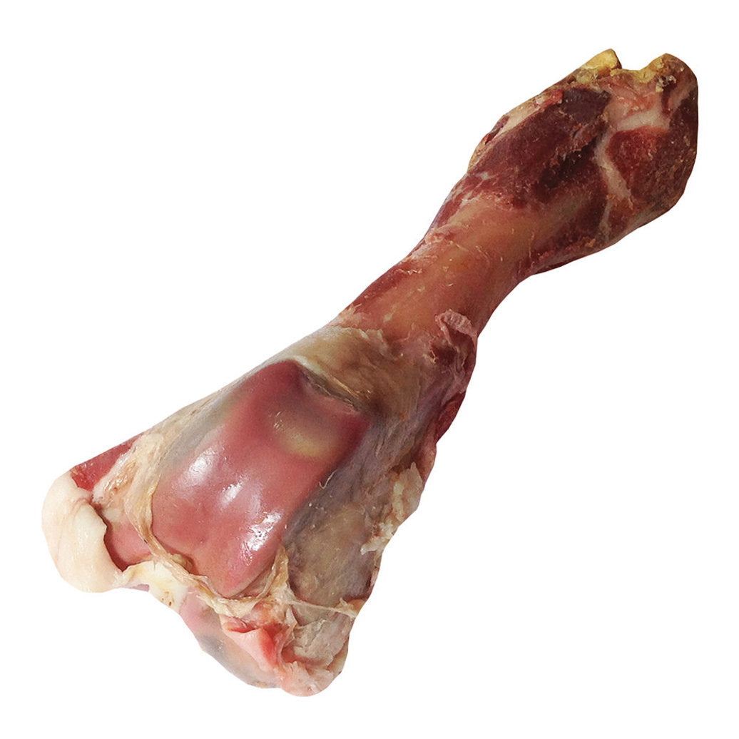 Dogit, Charcuterie, Italian Prosciutto Bone - 3 sizes