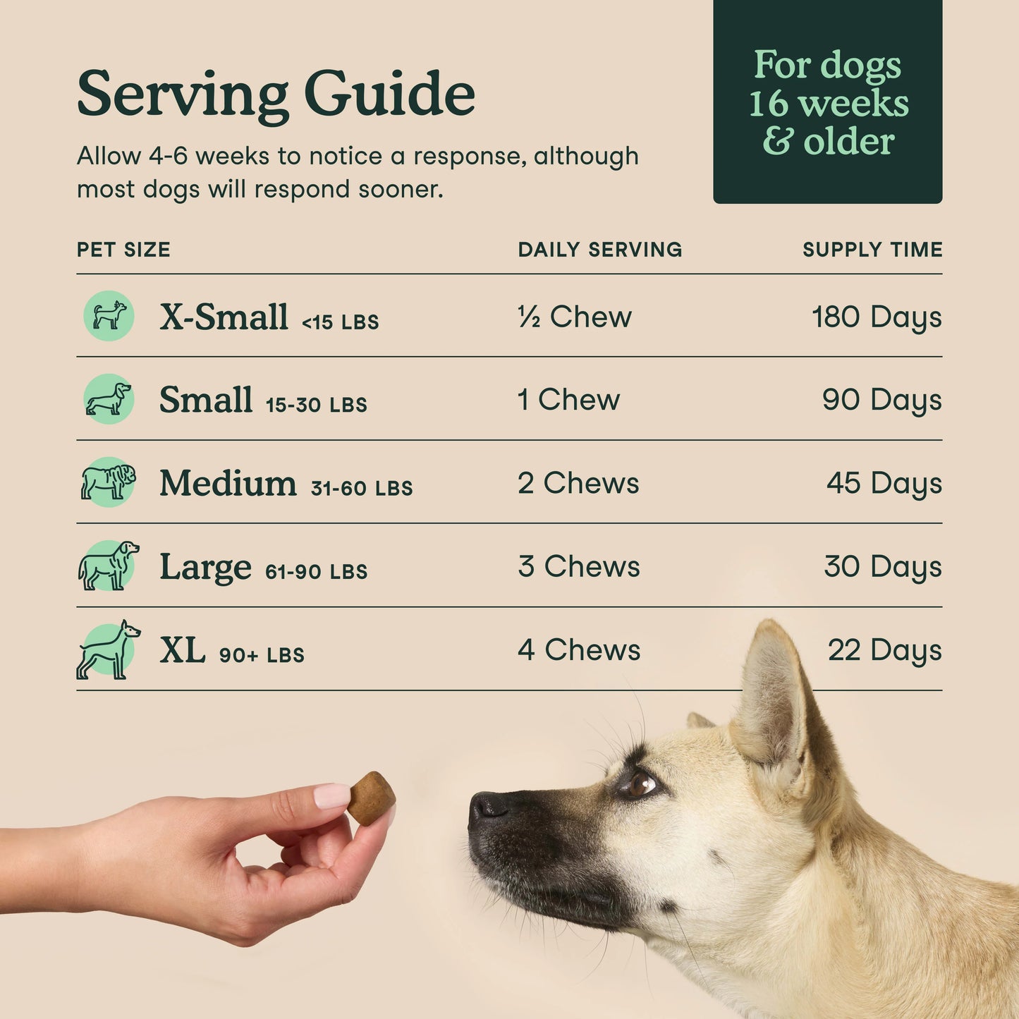 Fera Pets – Hip + Joint for Dogs, Soft Chews – 90 count