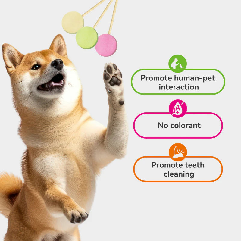 Ranova Freeze-Dried Lollipop for Dog 6pc 48g