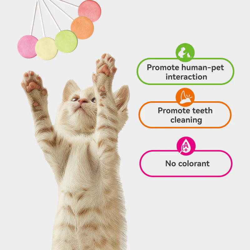 Ranova Freeze-Dried Lollipop for Cat 15pc 21g