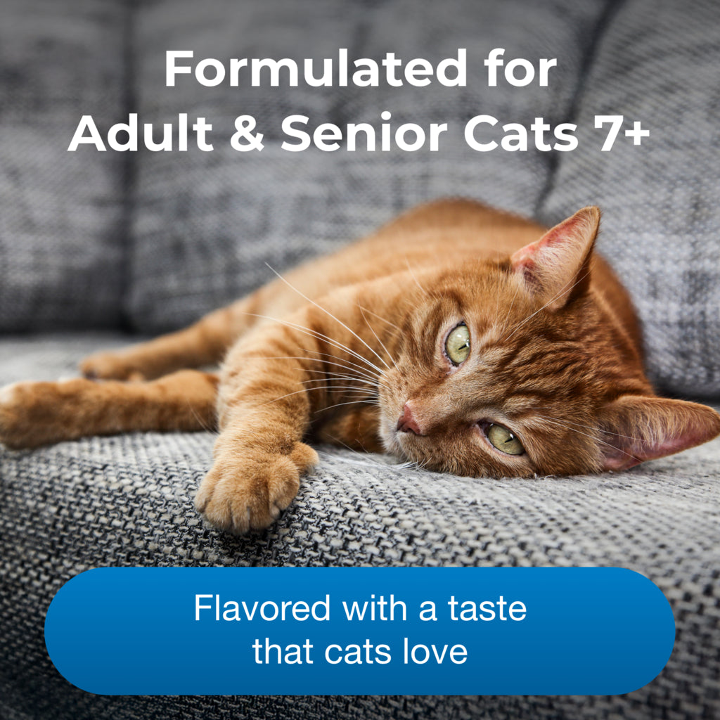 PetAg® KMR® Healthy Aging Healthy Aging Nutritional Supplement for Adult & Seniors Cats 7+ 14oz