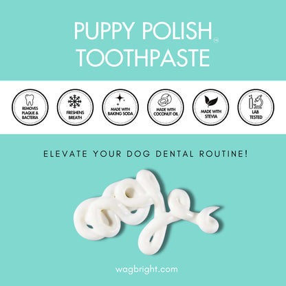 Wag & Bright Puppy Polish Toothpaste - Filet Mignon (Beef)