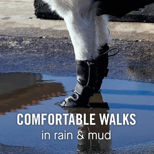 Canada Pooch® Waterproof Rain Boots Pink