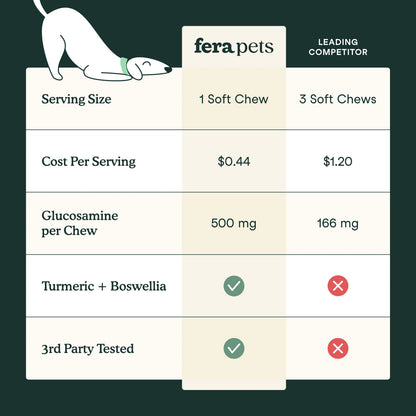 Fera Pets – Hip + Joint for Dogs, Soft Chews – 90 count