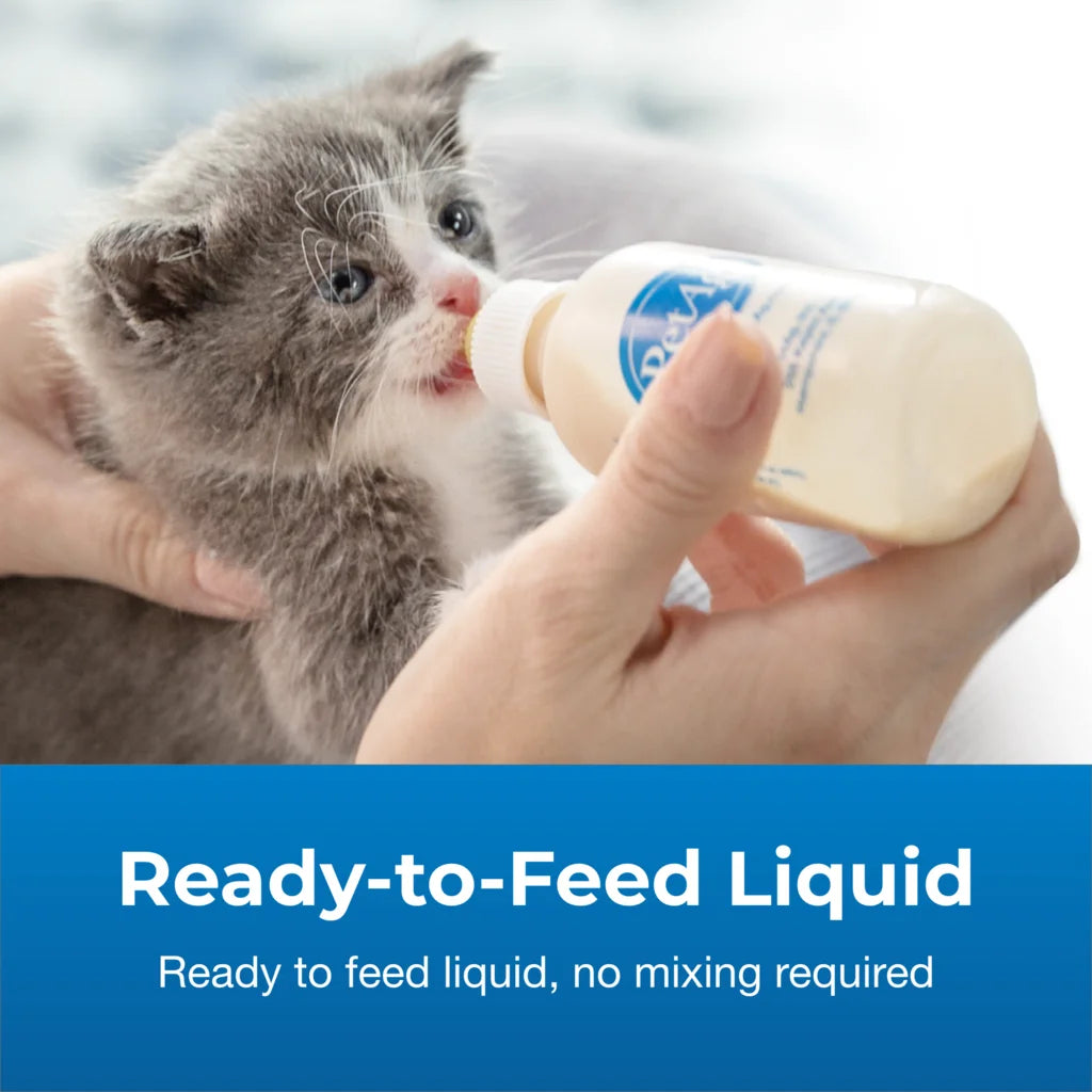 PetAg® KMR® Kitten Milk Replacer Liquid 16oz