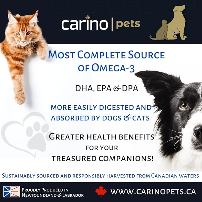 Carino Omega 3 Seal Oil For Cats & Dogs