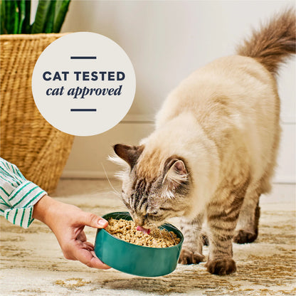 Instinct FreshDried Pates Cat Food Surf & Turf Entree 3oz