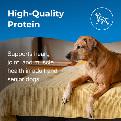 PetAg® Esbilac® Healthy Aging Nutritional Supplement for Adult & Senior Dogs 7 Years+ 14oz