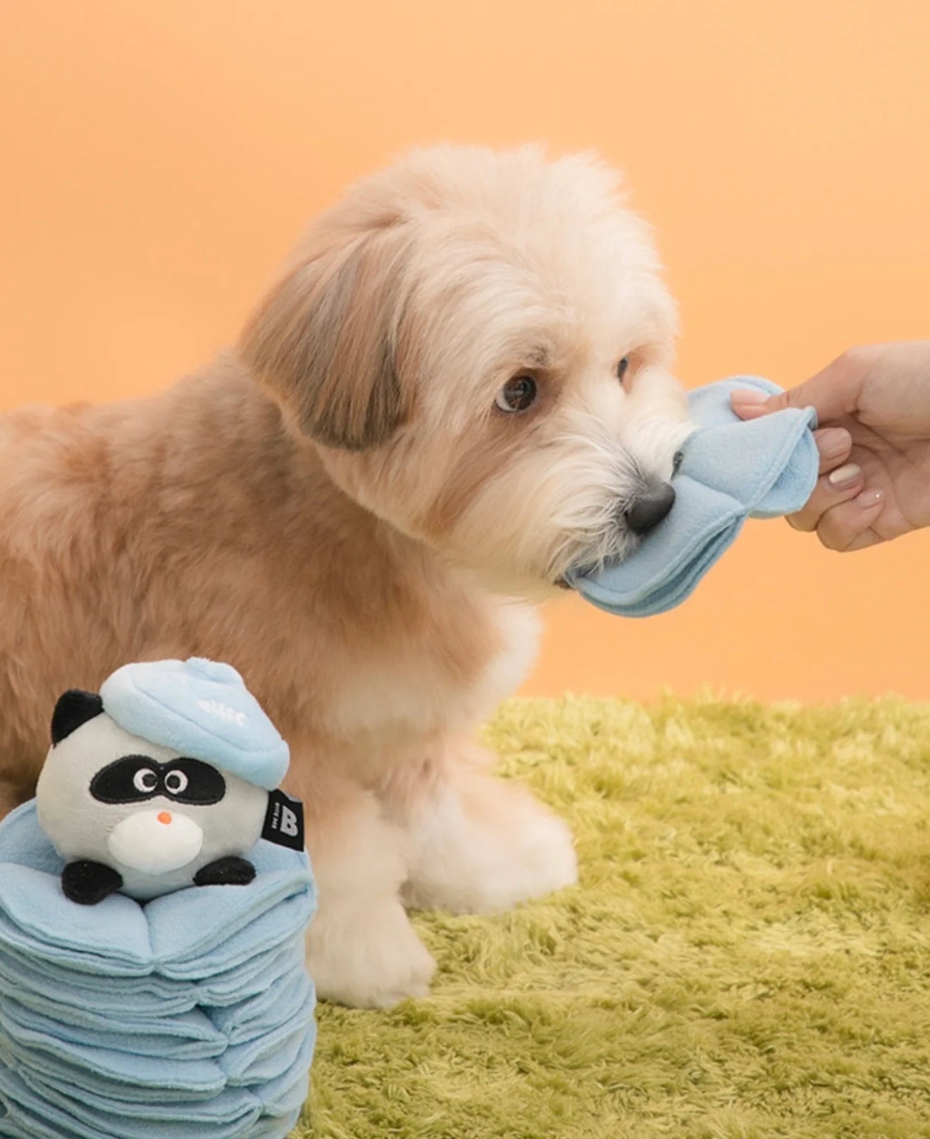 Bite Me Poki Pocket Nosework Toy