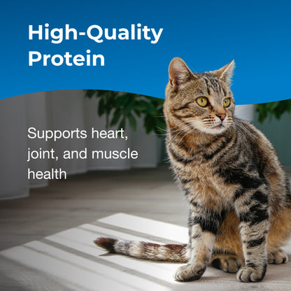 PetAg® KMR® Healthy Aging Healthy Aging Nutritional Supplement for Adult & Seniors Cats 7+ 14oz