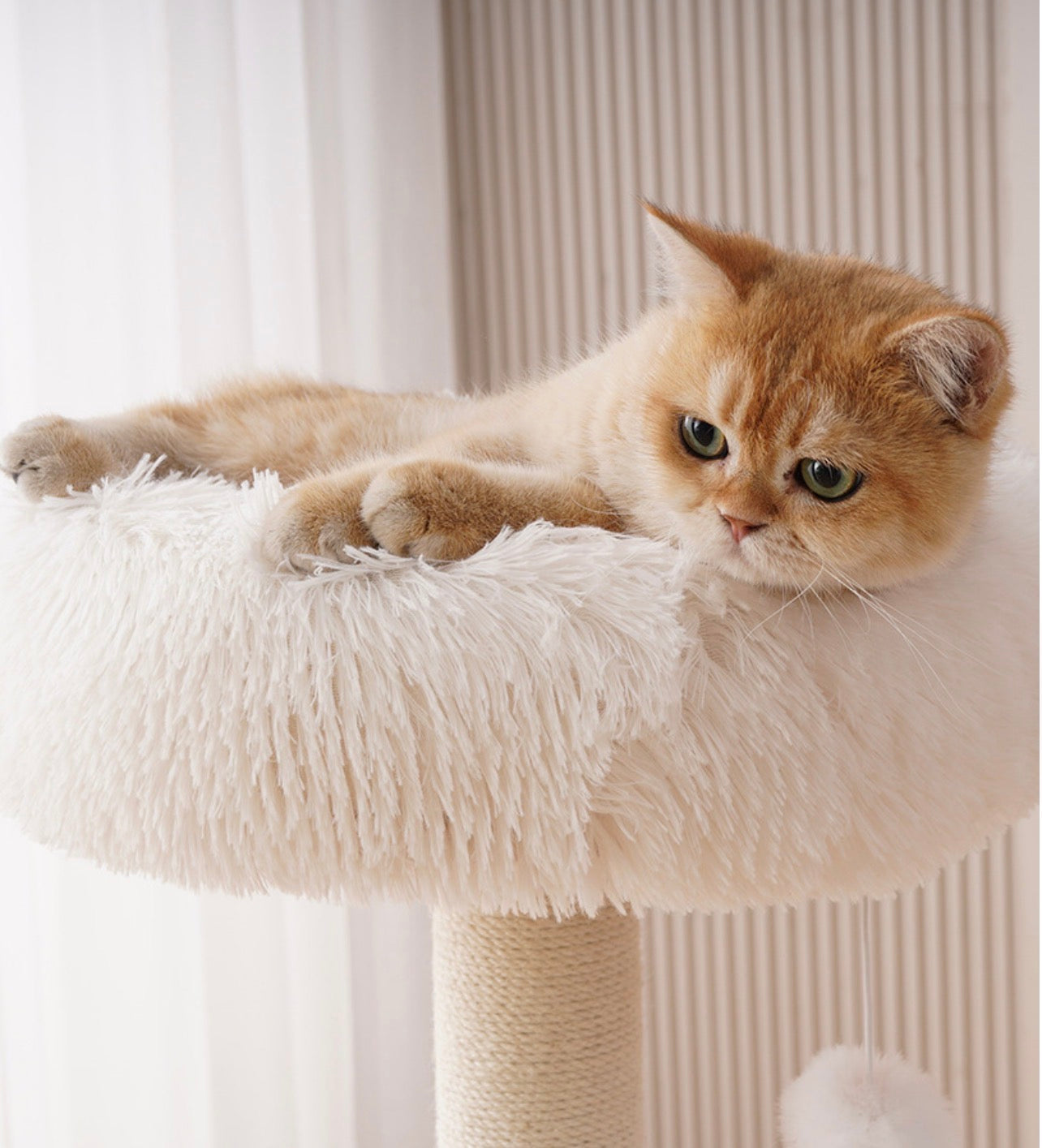 Modern Luxury Wooden Cat Tree with Acrylic Bowl & Hammock