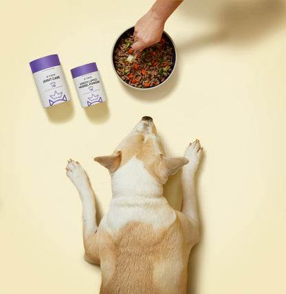 KRWN Joint Care Powder