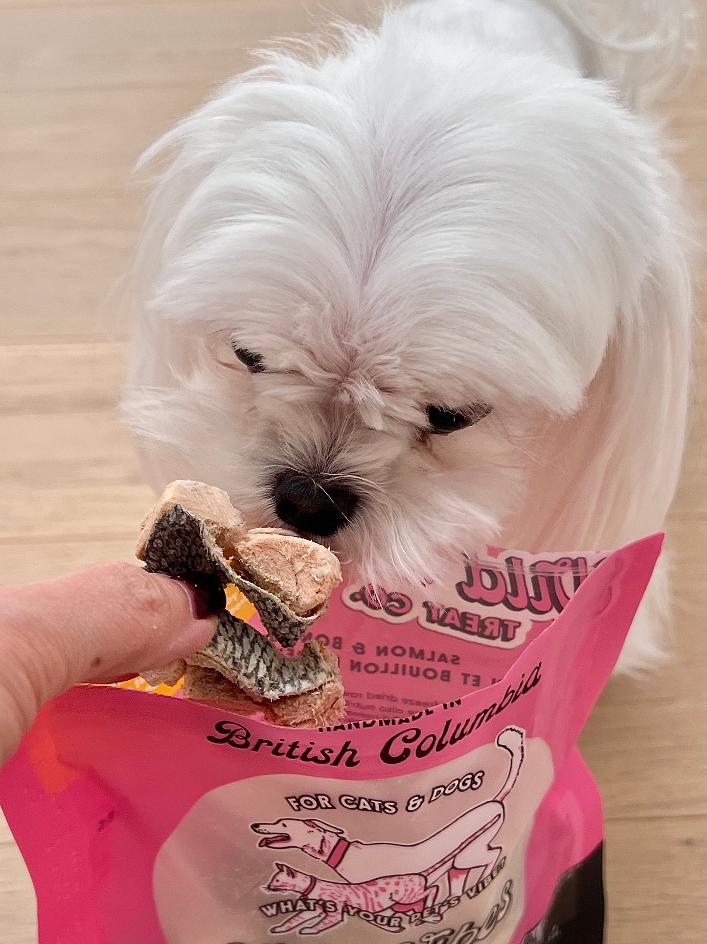Wild Vibes Salmon & Bone Broth Treats 75g