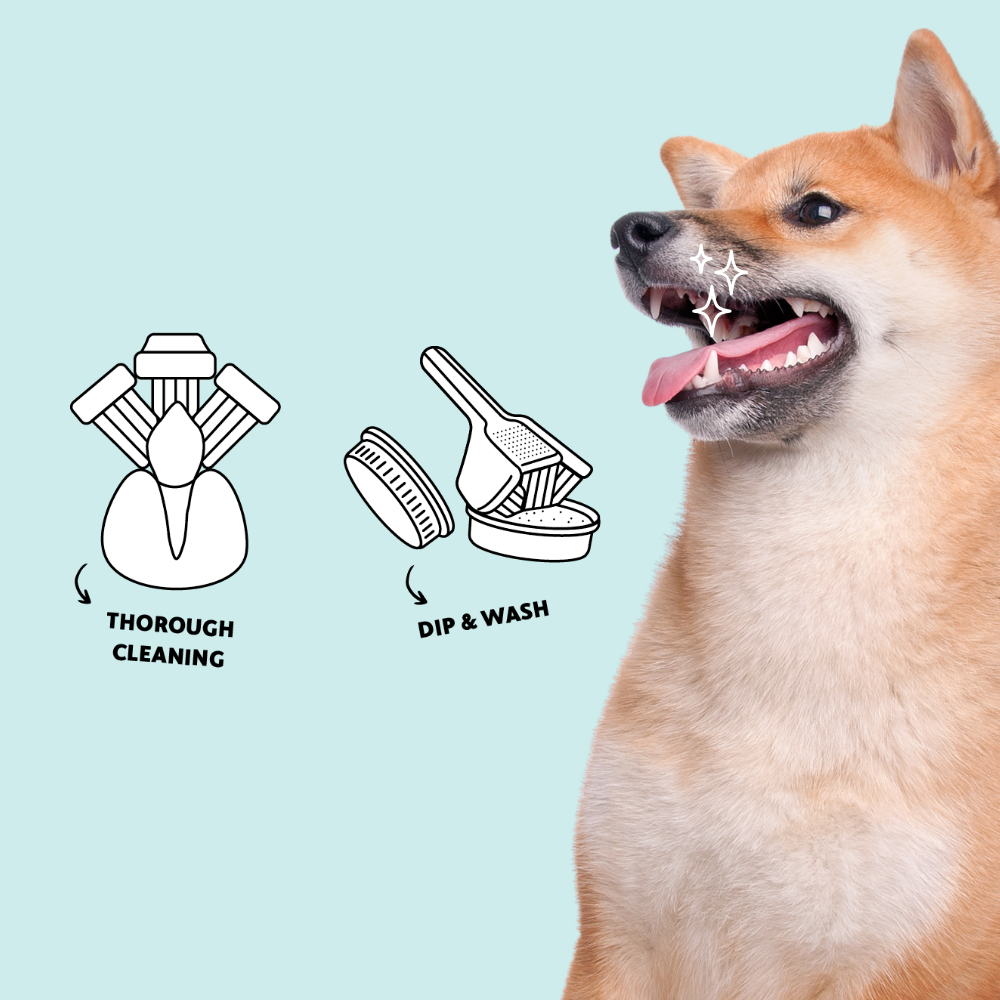 Furree Pet Three-Sided Toothbrush for Dogs and Cats – with a Free Toothpowder Sample