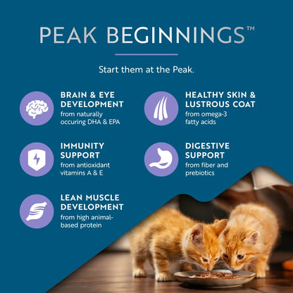 ZIWI Chicken with Lamb Wet Kitten Food 85g