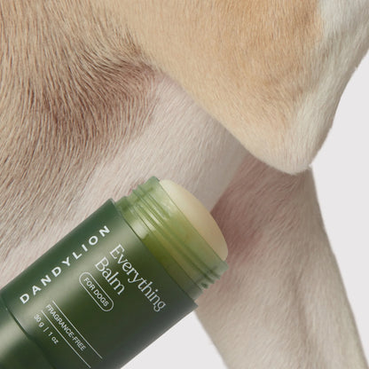 Dandylion - Everything Balm 30G