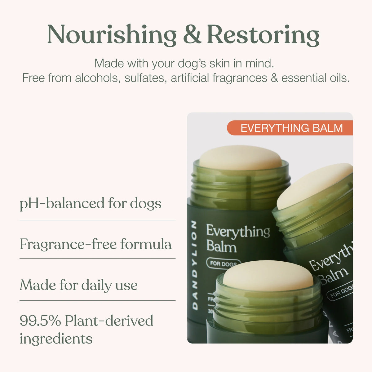 Dandylion - Everything Balm 30G
