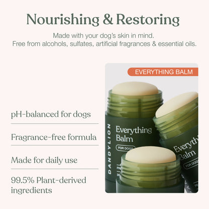 Dandylion - Everything Balm 30G