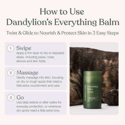 Dandylion - Everything Balm 30G