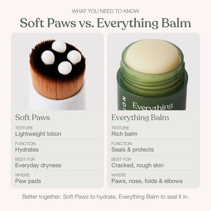 Dandylion - Everything Balm 30G