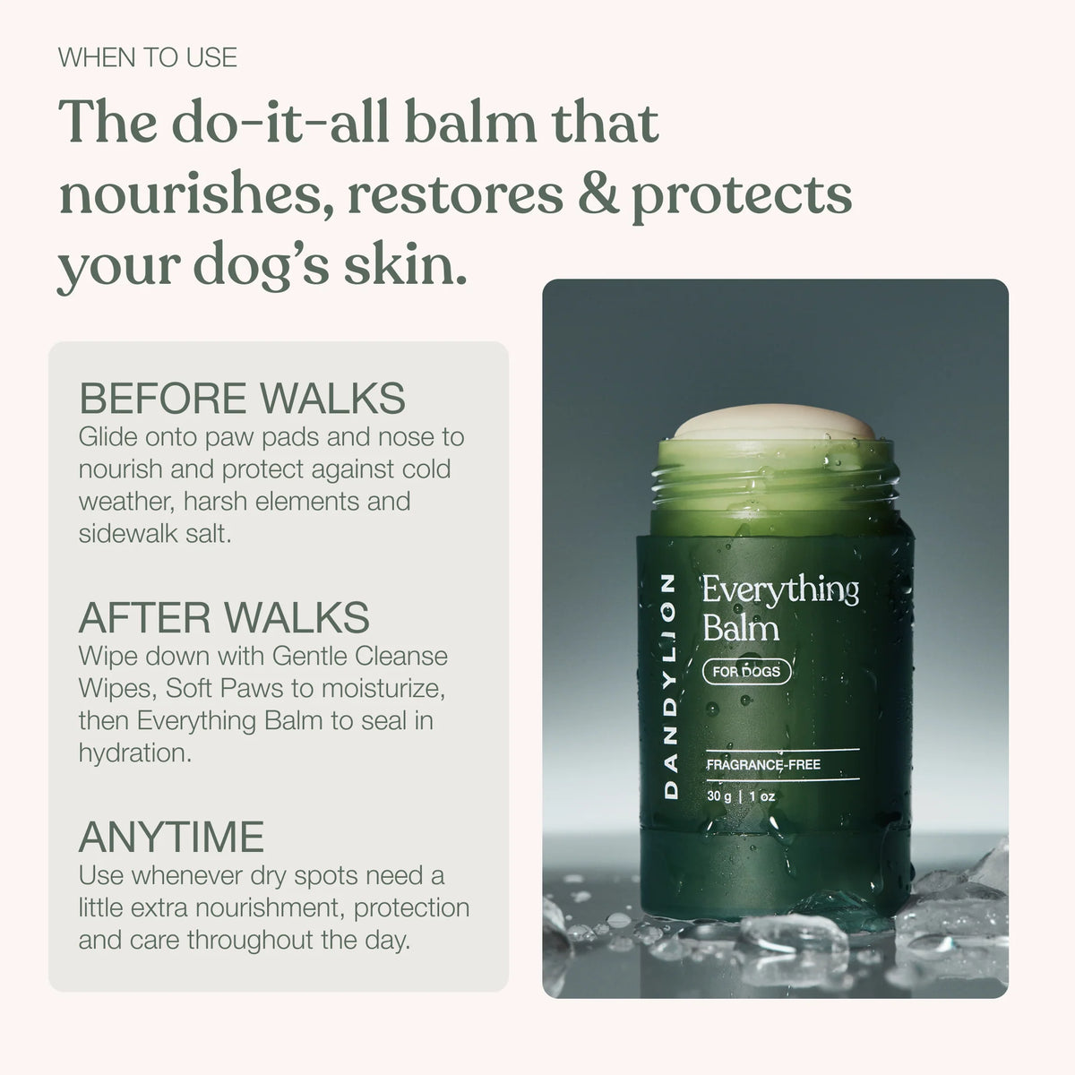 Dandylion - Everything Balm 30G