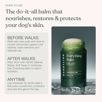 Dandylion - Everything Balm 30G
