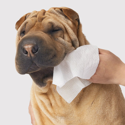 Dandylion Gentle Cleanse Dog Wipes - 3 Pack of 30 Wipes