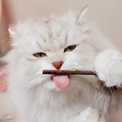 Matatabi Dental Chew Stick for cats