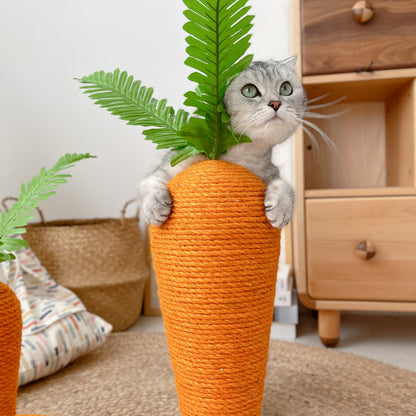 Carrot Cat Scratcher