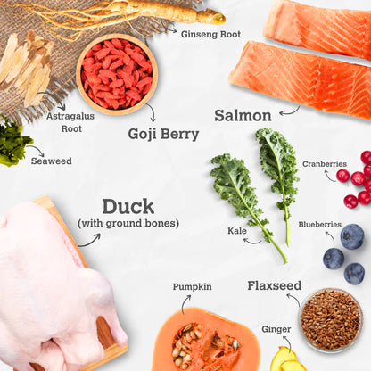 Charmy Salmon & Duck Freeze Dried