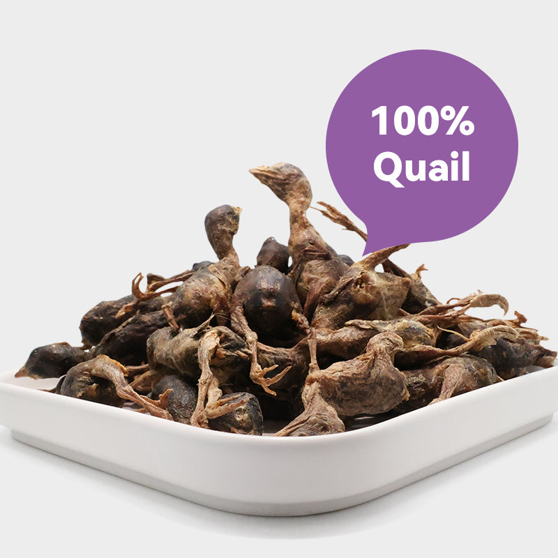 Ranova Freeze Dried Quail 40g